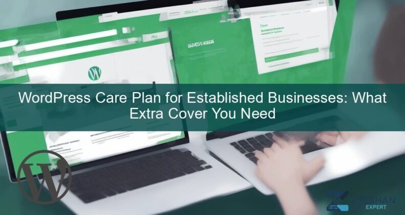 wordpress care plan — business owner reviewing website security on laptop
