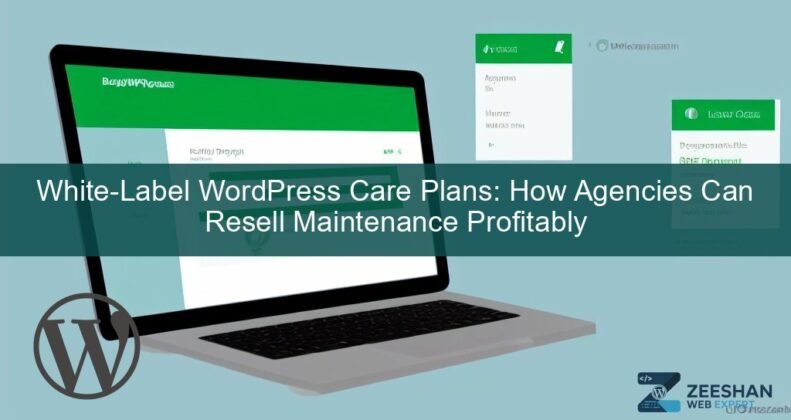 wordpress care plans — agency owner reviewing website maintenance dashboard