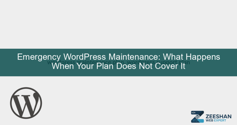 wordpress maintenance plan — developer reviewing site health dashboard on laptop