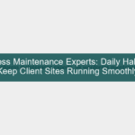 wordpress maintenance experts — developer reviewing site health dashboard on laptop