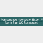 wordpress maintenance plans — developer reviewing site health dashboard on laptop