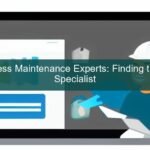 WordPress maintenance expert working on a laptop with a secure lock icon