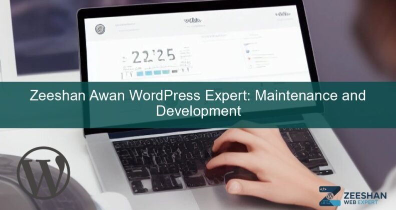 Zeeshan Awan WordPress expert dashboard showing website security and performance checks